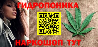 PSILOCYBIN Изобильный