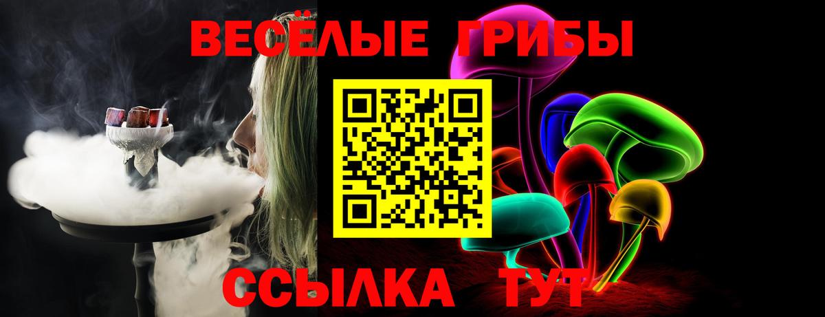 Галлюциногенные грибы прущие грибы  Вход с VPN  магазин  наркотиков  Краснодар 